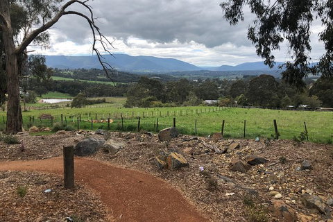 Small Public Yarra Valley Scenic Tour Inc 2 Course Lunch, Wine, Cheese - Australia Accommodation 1