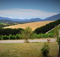 Romantic Private Yarra Valley Day Trip for Two from Melbourne - Australia Accommodation