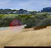 Estate to Plate Montalto Vineyard Gourmet Lunch and Wine-Tasting Tour - Australia Accommodation