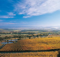 Half Day Yarra Valley Winery Day Trip from Melbourne - Australia Accommodation