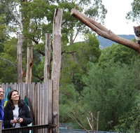 Yarra Valley Wildlife Express Private Tour - Australia Accommodation