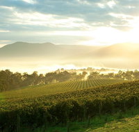 Yarra Valley Private Tour including Healesville Sanctuary and Wineries - Australia Accommodation