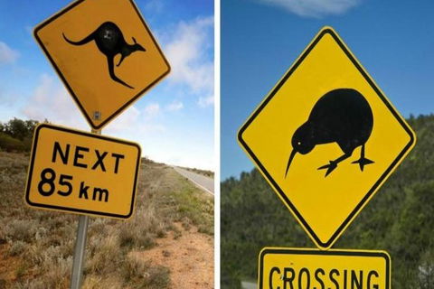 Aroha Tangata Australia And New Zealand 20 Day - Australia Accommodation 0