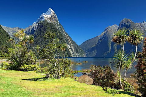 Aroha Tangata Australia And New Zealand 20 Day - Australia Accommodation 1