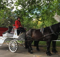Melbourne Horse Drawn Carriage Garden Highlights Tour - Australia Accommodation