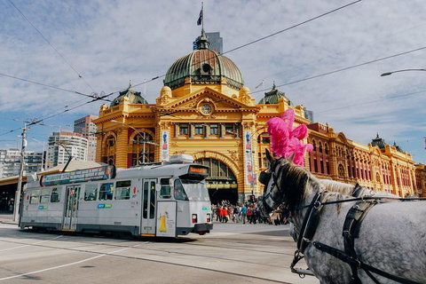A Full Day In Melbourne With A Local: Private & Personalized - Australia Accommodation 9