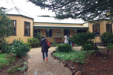 Day Tour Of Phillip Island Nature Parks & Penguins - Australia Accommodation 7