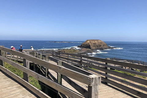 Day Tour Of Phillip Island Nature Parks & Penguins - Australia Accommodation 9