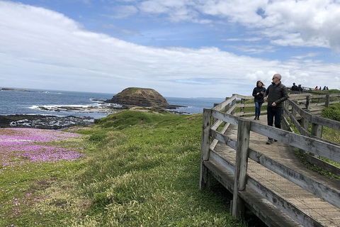 Day Tour Of Phillip Island Nature Parks & Penguins - Australia Accommodation 10