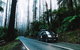 Small Group: Mornington Peninsula Hike And Hot Springs Day Tour From Melbourne - thumb 8