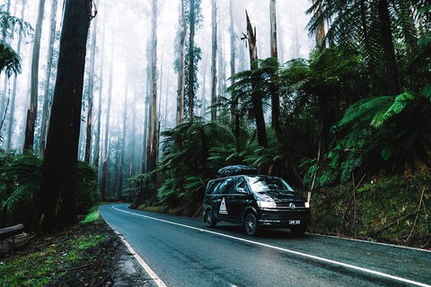 Small Group: Mornington Peninsula Hike And Hot Springs Day Tour From Melbourne - Australia Accommodation 8