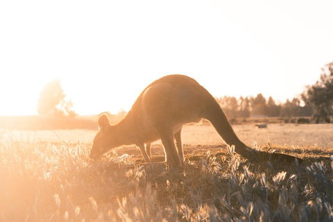 Small Group: Mornington Peninsula Hike And Hot Springs Day Tour From Melbourne - Australia Accommodation 6