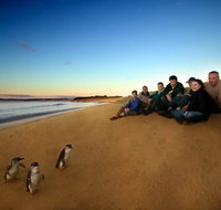 Private Phillip Island Day Trip from Melbourne Including Penguin Parade Premium Viewing - Australia Accommodation