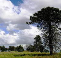 Walking tours of Woodlands Historic Park - Australia Accommodation