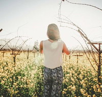 Yarra Valley Rainforest Hike and Winery Tour - Australia Accommodation