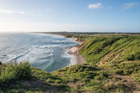 Phillip Island Hike And Aussie Wildlife Adventure - Australia Accommodation 0