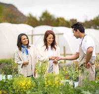 7-Day Victoria's Hidden Gems Journey from Melbourne - Australia Accommodation