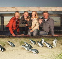 Phillip Island Nature Park Full-Day Tour from Melbourne - Australia Accommodation