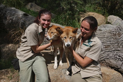 Healesville Sanctuary And Yarra Valley Day Trip From Melbourne - Australia Accommodation 12