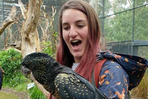 Healesville Sanctuary And Yarra Valley Day Trip From Melbourne - Australia Accommodation 10