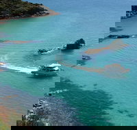 Cape Woolamai Sightseeing Cruise from San Remo - Australia Accommodation