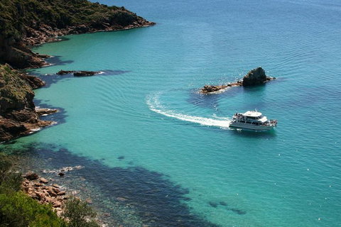 Cape Woolamai Sightseeing Cruise From San Remo - Australia Accommodation 0