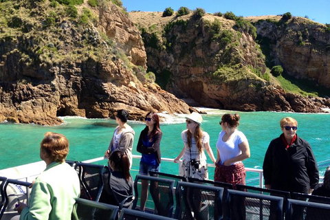 Cape Woolamai Sightseeing Cruise From San Remo - Australia Accommodation 1