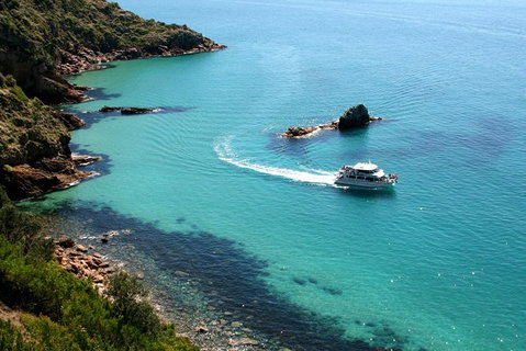 Cape Woolamai Sightseeing Cruise From San Remo - Australia Accommodation 3