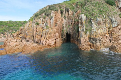 Cape Woolamai Sightseeing Cruise From San Remo - Australia Accommodation 4