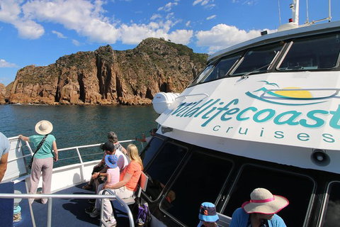 Cape Woolamai Sightseeing Cruise From San Remo - Australia Accommodation 9
