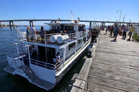Cape Woolamai Sightseeing Cruise From San Remo - Australia Accommodation 7