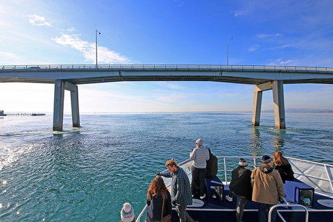 Cape Woolamai Sightseeing Cruise From San Remo - Australia Accommodation 5