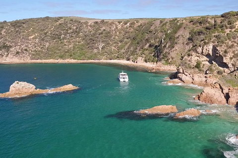 Cape Woolamai Sightseeing Cruise From San Remo - Australia Accommodation 6