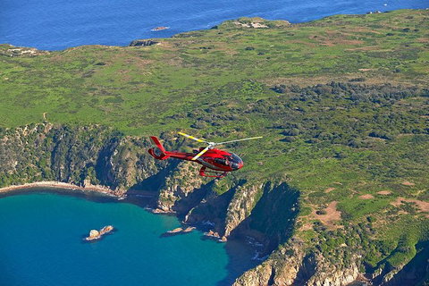 Private Phillip Island Tour With One-Way Helicopter Transfer - Australia Accommodation 0