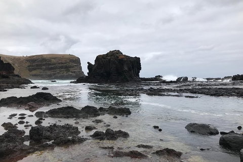 Explore Mornington Peninsula Incl. Bushrangers Bay With Organic Conservation(PT) - Australia Accommodation 1