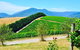 Private Winery Tour: Yarra Valley Boutique Wine Trails From Melbourne - thumb 0