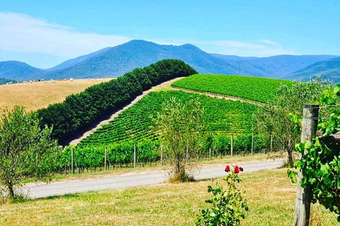 Private Winery Tour: Yarra Valley Boutique Wine Trails From Melbourne - Australia Accommodation 0