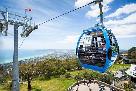 Around The Bay Food And Wine Taste Trail - Australia Accommodation 1