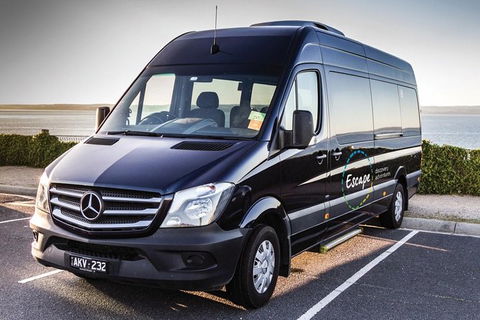 Ultimate Reverse Direction - 12 Apostles, Great Ocean Road - Small Group Tour - Australia Accommodation 4