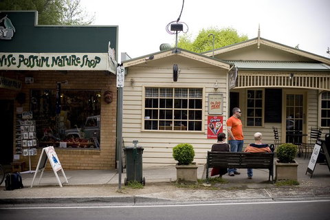 Half Day Puffing Billy Train Journey From Melbourne - Australia Accommodation 10