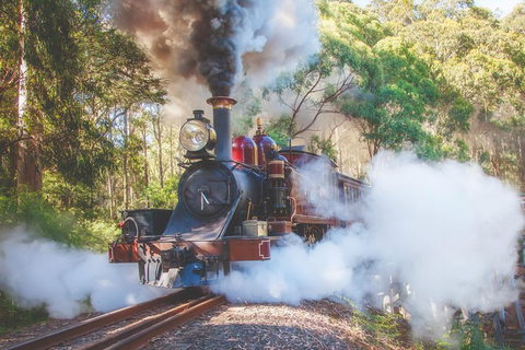 Half Day Puffing Billy Train Journey From Melbourne - Australia Accommodation 4