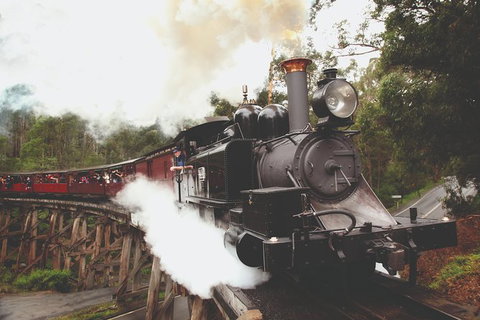 Half Day Puffing Billy Train Journey From Melbourne - Australia Accommodation 3
