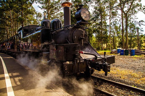 Half Day Puffing Billy Train Journey From Melbourne - Australia Accommodation 6