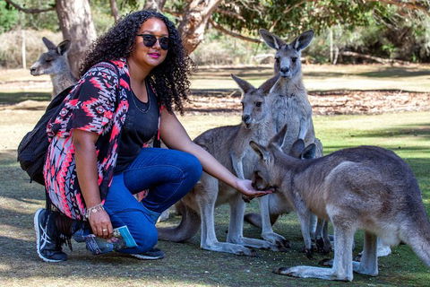 3-Day Tasmania Combo: Launceston To Hobart Active Tour Including Cradle Mountain, Freycinet National Park And Port Arthur - Australia Accommodation 12