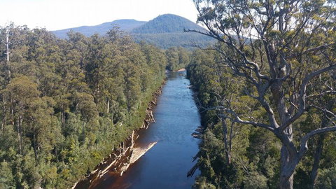 Small-group DayTour From Hobart: Hastings Caves, Huon Valley And Tahune AirWalk - Australia Accommodation 3