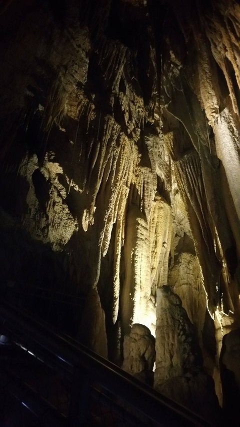Small-group DayTour From Hobart: Hastings Caves, Huon Valley And Tahune AirWalk - Australia Accommodation 5
