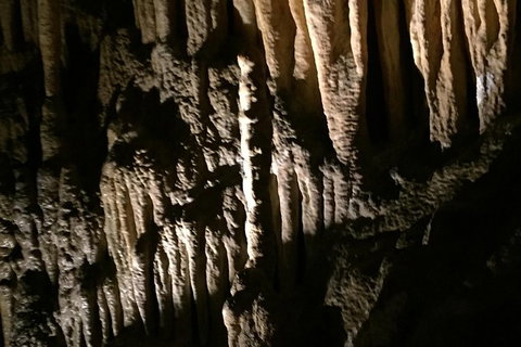 Small-group DayTour From Hobart: Hastings Caves, Huon Valley And Tahune AirWalk - Australia Accommodation 1