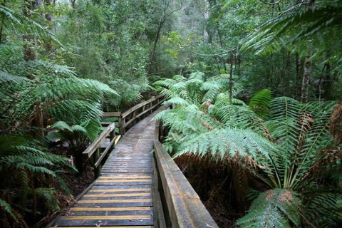 Small-group DayTour From Hobart: Hastings Caves, Huon Valley And Tahune AirWalk - Australia Accommodation 0