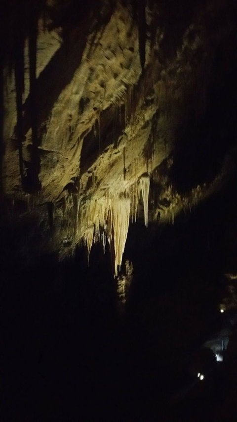 Small-group DayTour From Hobart: Hastings Caves, Huon Valley And Tahune AirWalk - Australia Accommodation 7