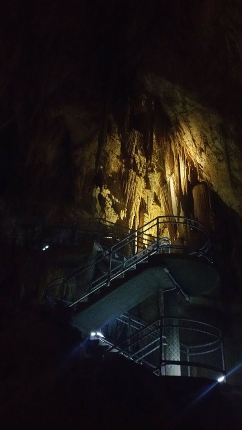 Small-group DayTour From Hobart: Hastings Caves, Huon Valley And Tahune AirWalk - Australia Accommodation 4